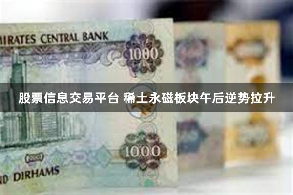 股票信息交易平台 稀土永磁板块午后逆势拉升