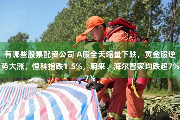 有哪些股票配资公司 A股全天缩量下跌，黄金股逆势大涨，恒科指