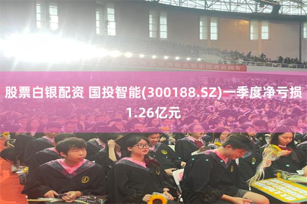 股票白银配资 国投智能(300188.SZ)一季度净亏损1.