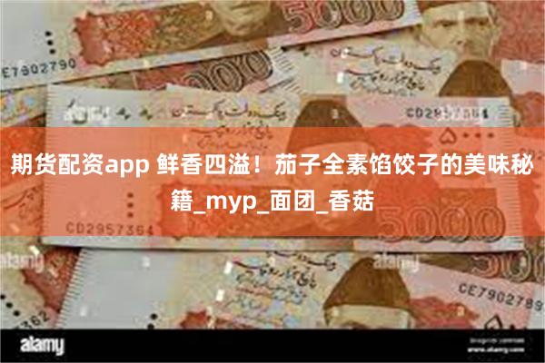 期货配资app 鲜香四溢！茄子全素馅饺子的美味秘籍_myp_