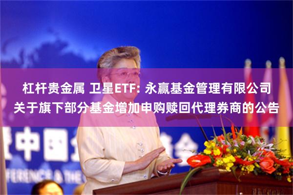 杠杆贵金属 卫星ETF: 永赢基金管理有限公司关于旗下部分基