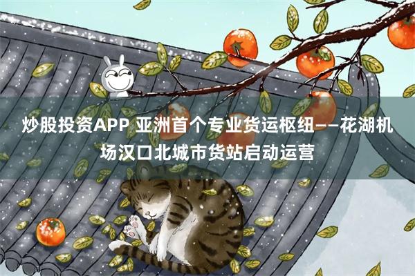 炒股投资APP 亚洲首个专业货运枢纽——花湖机场汉口北城市货