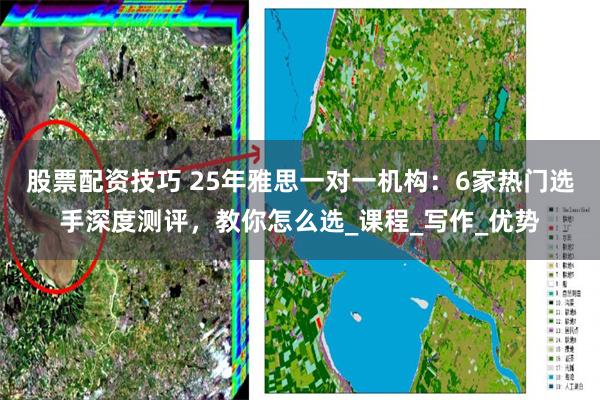 股票配资技巧 25年雅思一对一机构：6家热门选手深度测评，教
