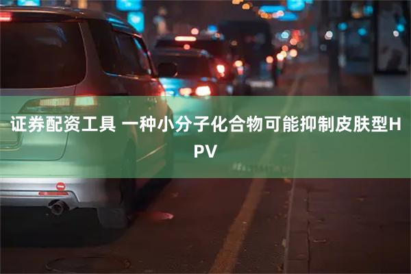 证券配资工具 一种小分子化合物可能抑制皮肤型HPV