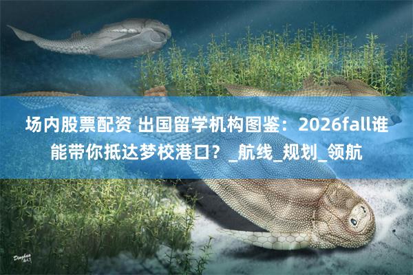 场内股票配资 出国留学机构图鉴：2026fall谁能带你抵达