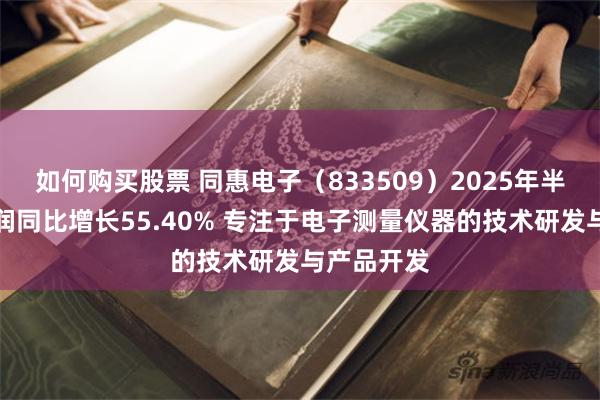 如何购买股票 同惠电子（833509）2025年半年度净利润