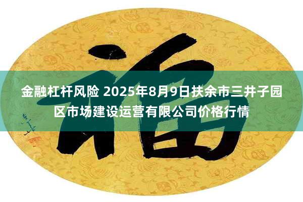 金融杠杆风险 2025年8月9日扶余市三井子园区市场建设运营
