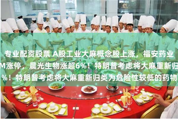 专业配资股票 A股工业大麻概念股上涨，福安药业涨15%，莱茵