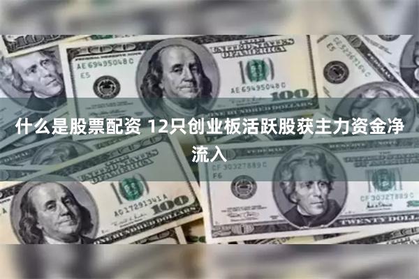 什么是股票配资 12只创业板活跃股获主力资金净流入