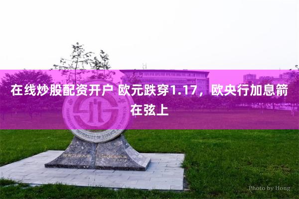 在线炒股配资开户 欧元跌穿1.17，欧央行加息箭在弦上